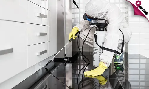 Pest Control: Cockroach & Bedbug Treatment Services!
